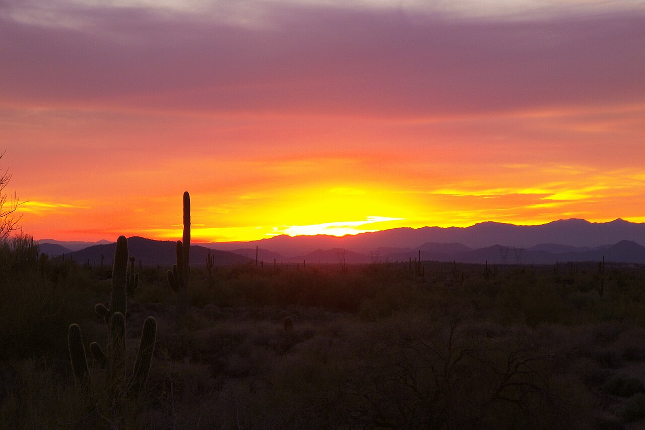Desert sunset with a saguaro silhouette